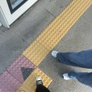 우치 닭발 | 202506