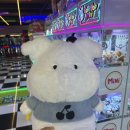 대빵인형뽑기 | 제주 연동 제주공항 근처 인형뽑기 후기 - 대빵오락실, 대빵인형뽑기