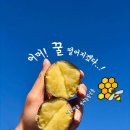 해남땅끝 천지식품 이미지