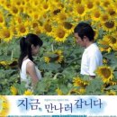 명테라피 이미지
