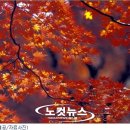 여행가 이미지