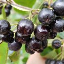 가는골농장 이미지