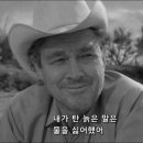 라이언 당구장 이미지