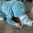 욱이네떡볶이 이미지