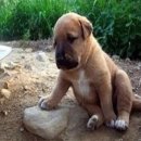 카페일루이스 이미지