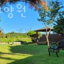 아산호서대주유소 이미지