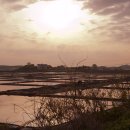 동주로(동주길) 이미지