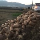 자가농장 이미지