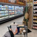 티케이타이어 | <일상이야기> (먼미래같던) 2020년의 (언제나와 같은) 첫 한달