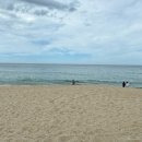 감나무집 민박 이미지