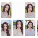 박은빈 30주년 데뷔 기념 앨범 [SHOOTING MY LOVE] 포토카드 증정 이벤트 변경사항 이미지