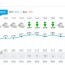일기예보 이미지