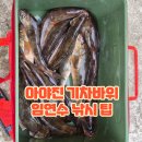 무수1-5낙차공 | [강원도 고성] 5월 임연수가 쏟아져 나오는 아야진 기차바위