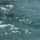 로즈리에 이미지