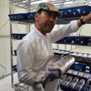 은이수입 이미지