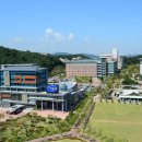 3.15대로 이미지