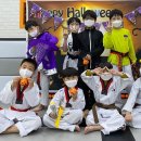 박사 경희대 태권도 체육관 이미지