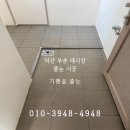 데시앙 세탁 | 익산 부송 데시앙 줄눈 시공 후기｜카키로즈 욕실·스텔링로즈 다용도실·다크우드 현관으로 분위기 정리