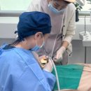 서울밝은미소치과의원 이미지