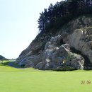 아리솔cc 이미지