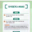 다시봄치과