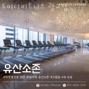 도미디피트니스 이미지