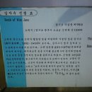 녹촌1리 (상촌)  마을회관 | 경주김씨 상촌파 김자수선생 묘역