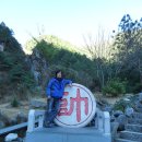 산목