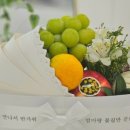 투데이프룻