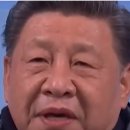 세라핑 이미지