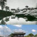 수원-1983 Daum카페