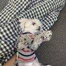 담곰이빵만 먹는 여성 . . .