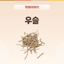 녹색건강원 - 여수시 신월로 621 | 녹색건강원
