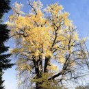 목동정문약국 이미지