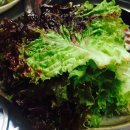 광시연탄갈비 이미지