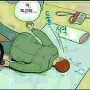 바리 이미지