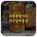 달마짐 이미지