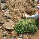 단이농장 이미지