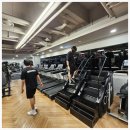 바디스미스 이미지