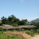 H9407 Daum카페