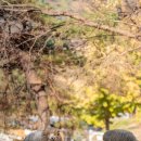 양은목장 이미지