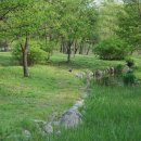 한밭수목원1 이미지