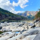 도원운학로 이미지