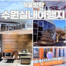 비산도서관 본관 마당 | 겨울방학 독박육아 탈출! 주차 편하고 교육까지 챙기는 수원 테마별 실내여행지 TOP 10