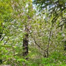 두루봉약수터 이미지