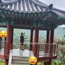충남 청양군 투어 힐링여행 수국명소 자연생태식물원 국내 최대 고운식물원 방문 후기