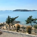 비고리조트 4 이미지