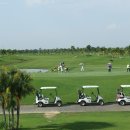 포인트골프방 이미지