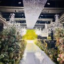 춘천더�� | Wedding #1. 춘천 더 테라리움 웨딩홀 후기｜춘천 예식장 상담부터 계약까지(+26년도 하반기 예식)