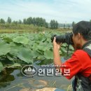 동광양어장 Daum카페